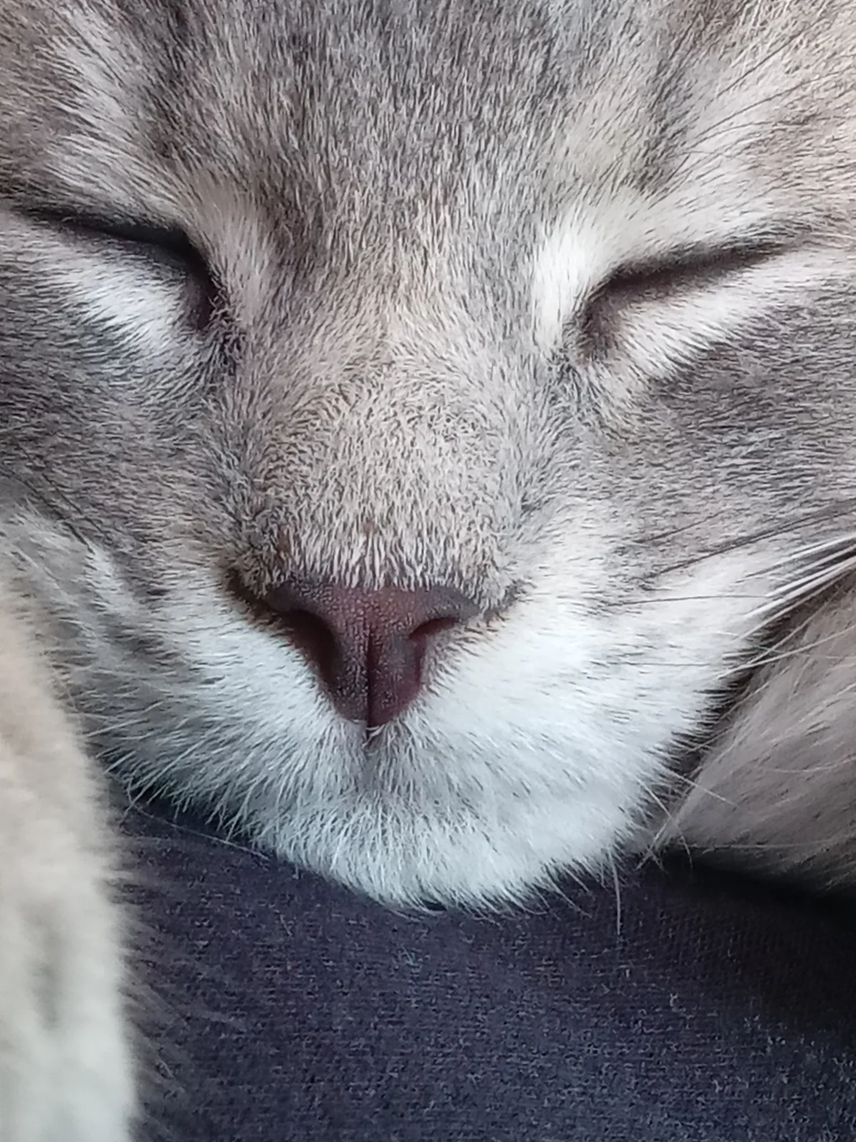 Gallery image: Reggie