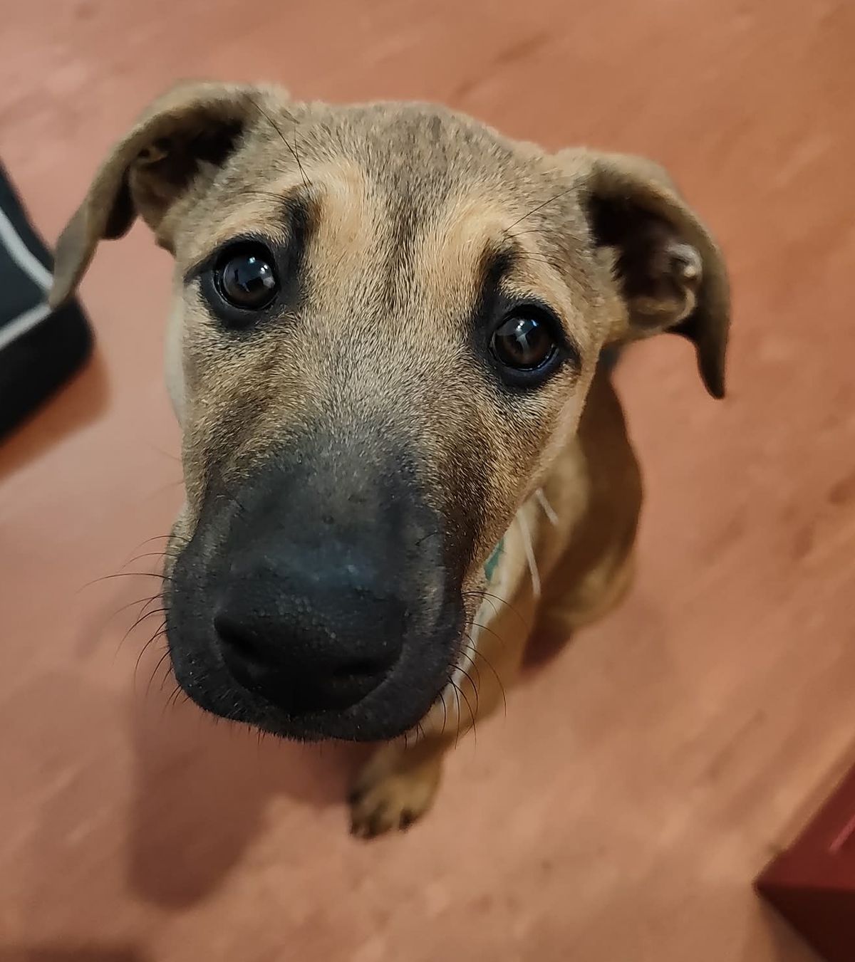 Gallery image: Christie