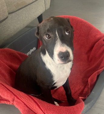 Gallery image: Blanche