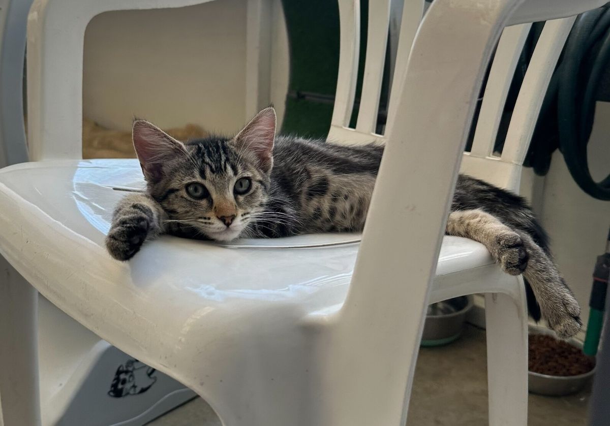 Gallery image: Madrid