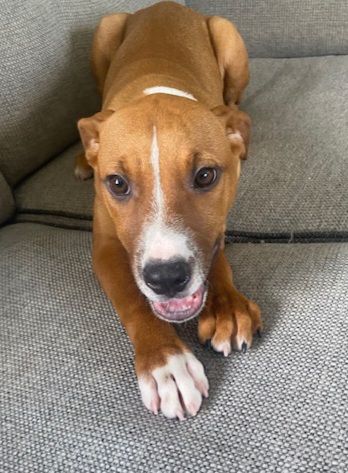 Gallery image: Dorothy