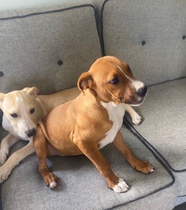 Gallery image: Dorothy