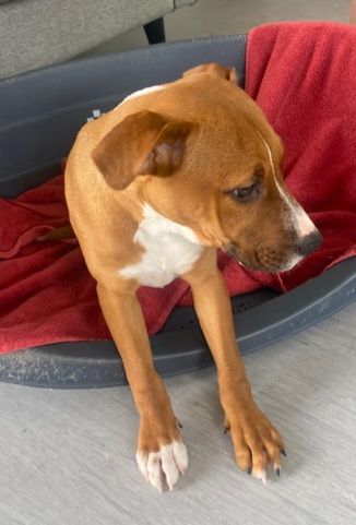 Gallery image: Dorothy