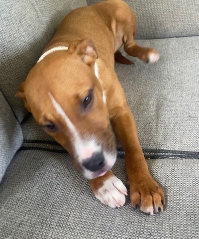 Gallery image: Dorothy