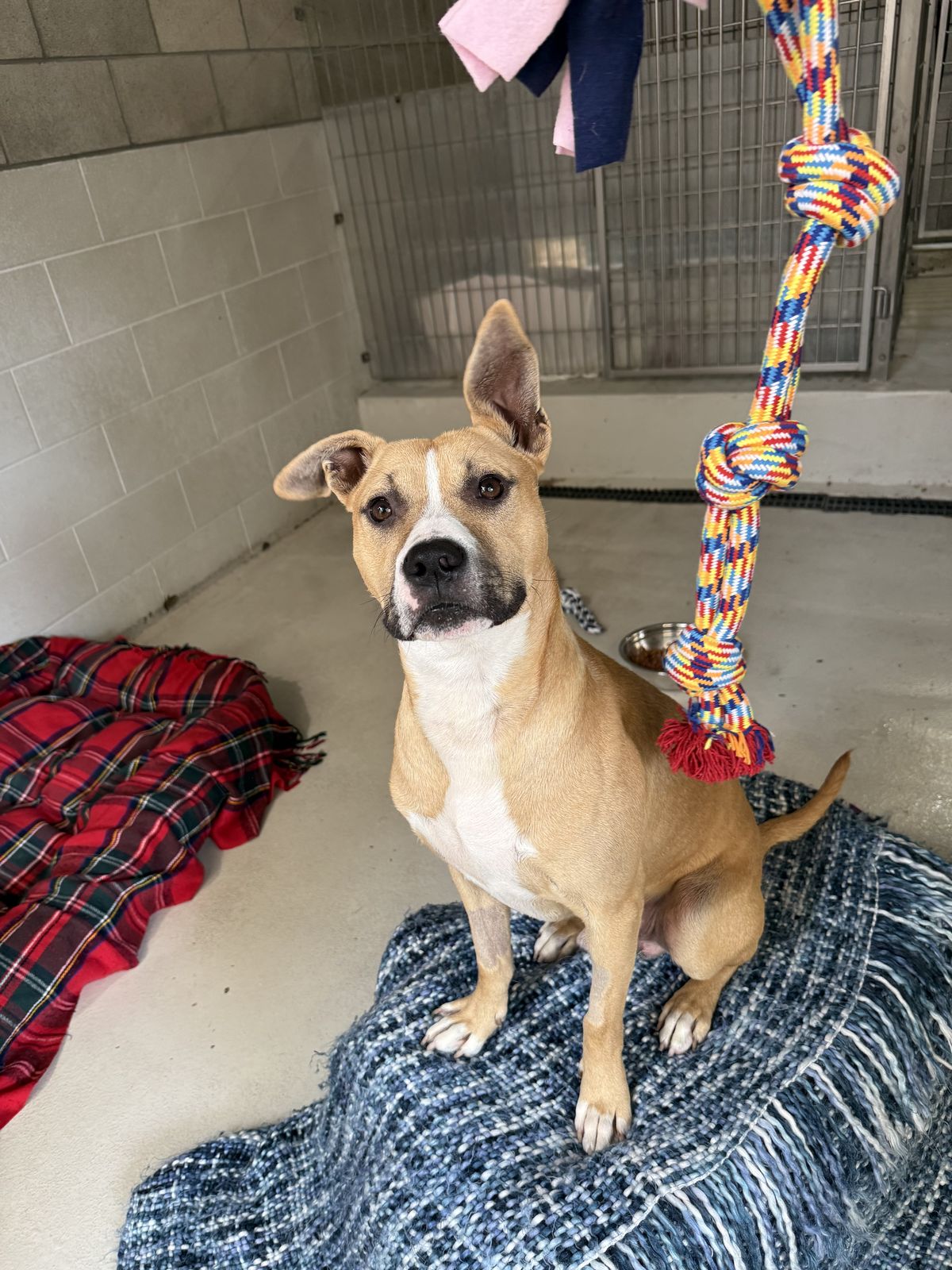 Gallery image: Harley