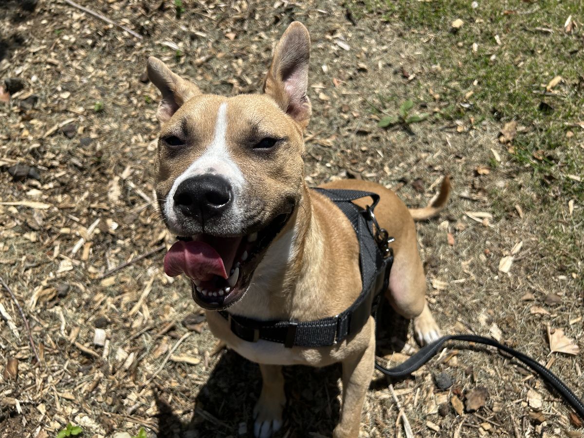 Gallery image: Harley