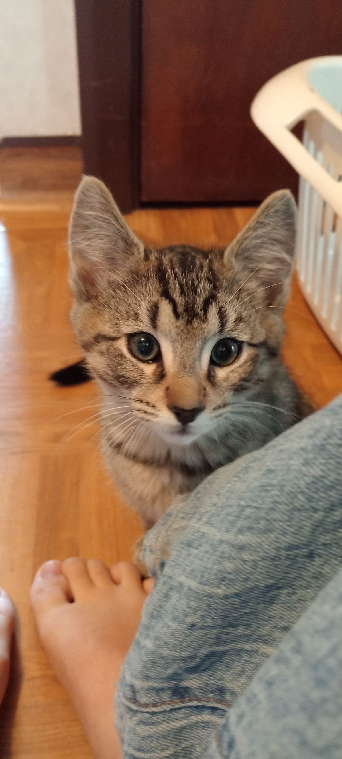 Gallery image: Pumpkin Face