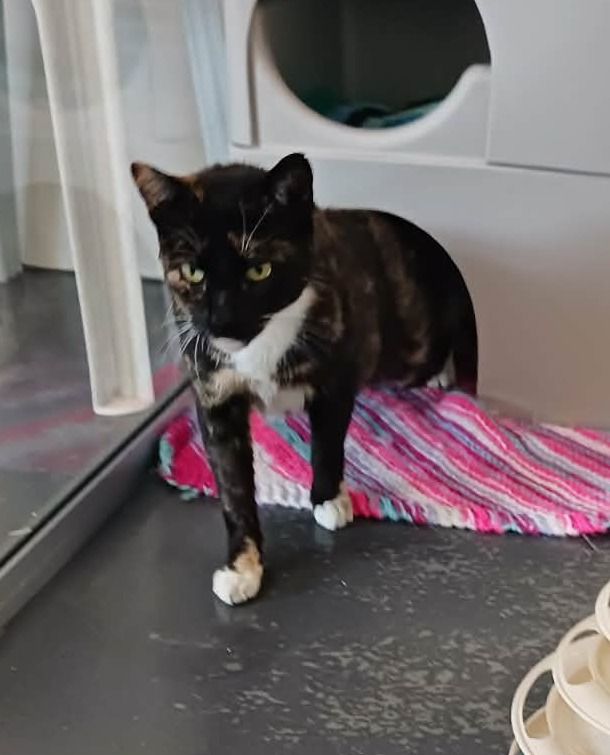 Gallery image: Sasha