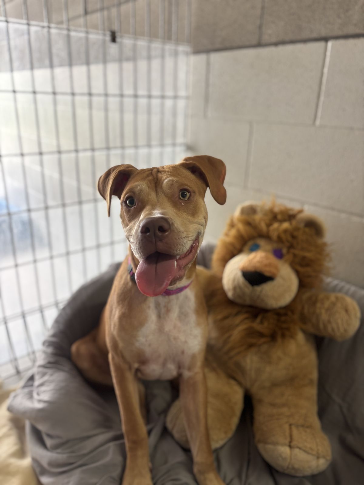 Gallery image: Thelma