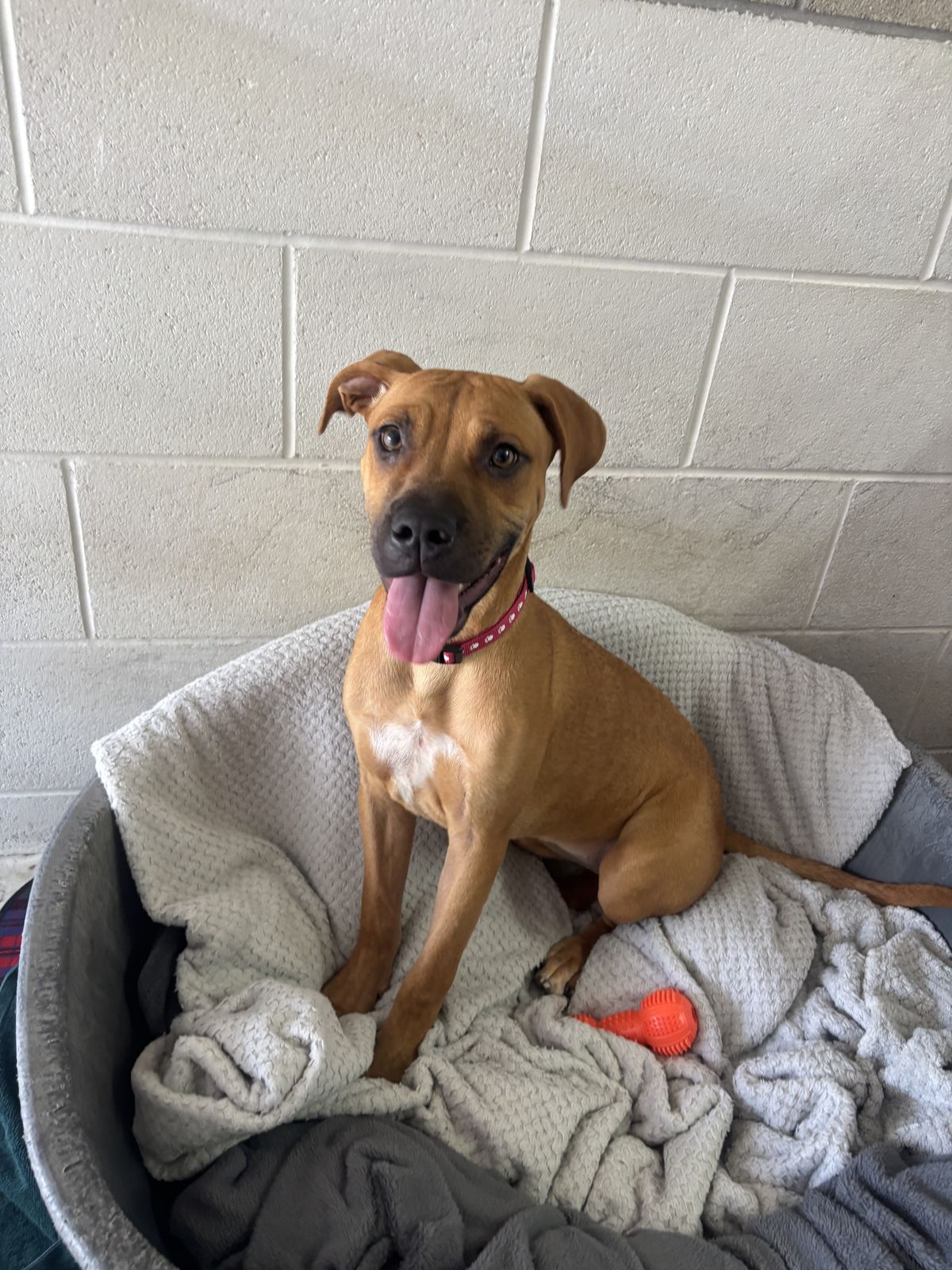 Gallery image: Louise