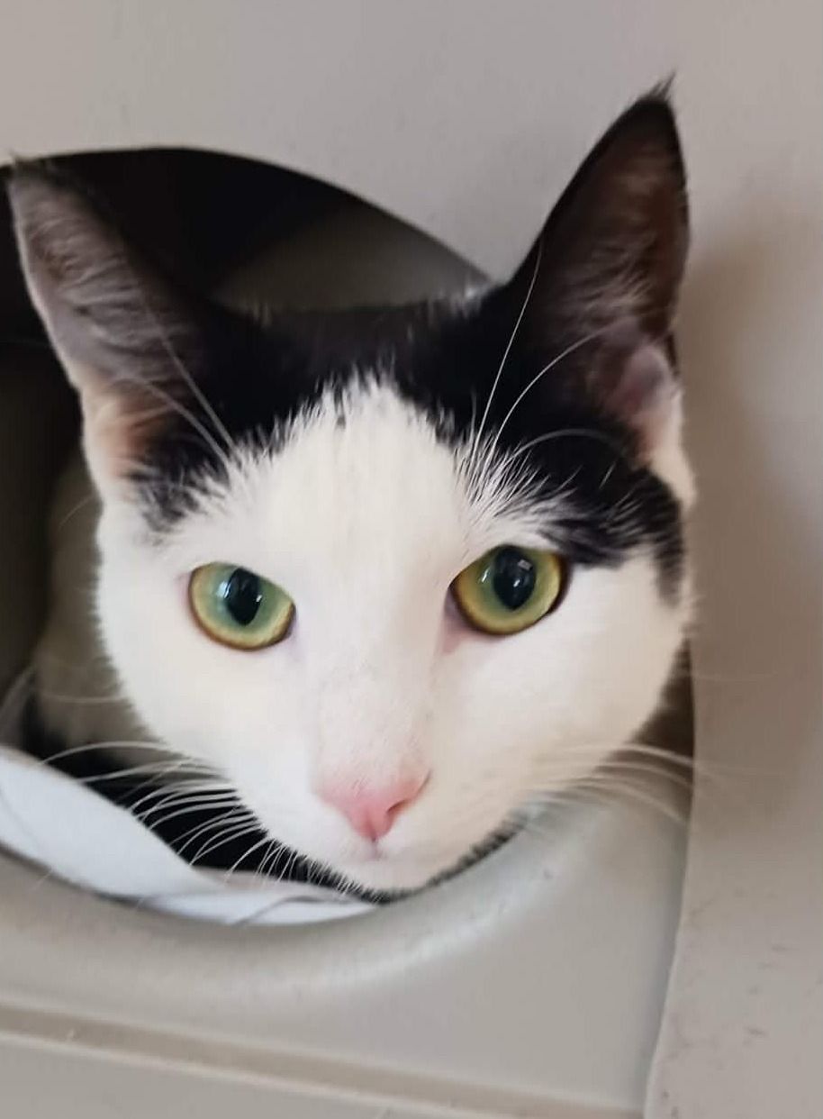 Gallery image: Petra