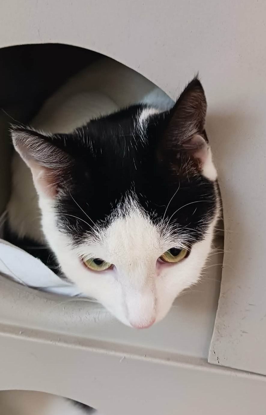 Gallery image: Petra