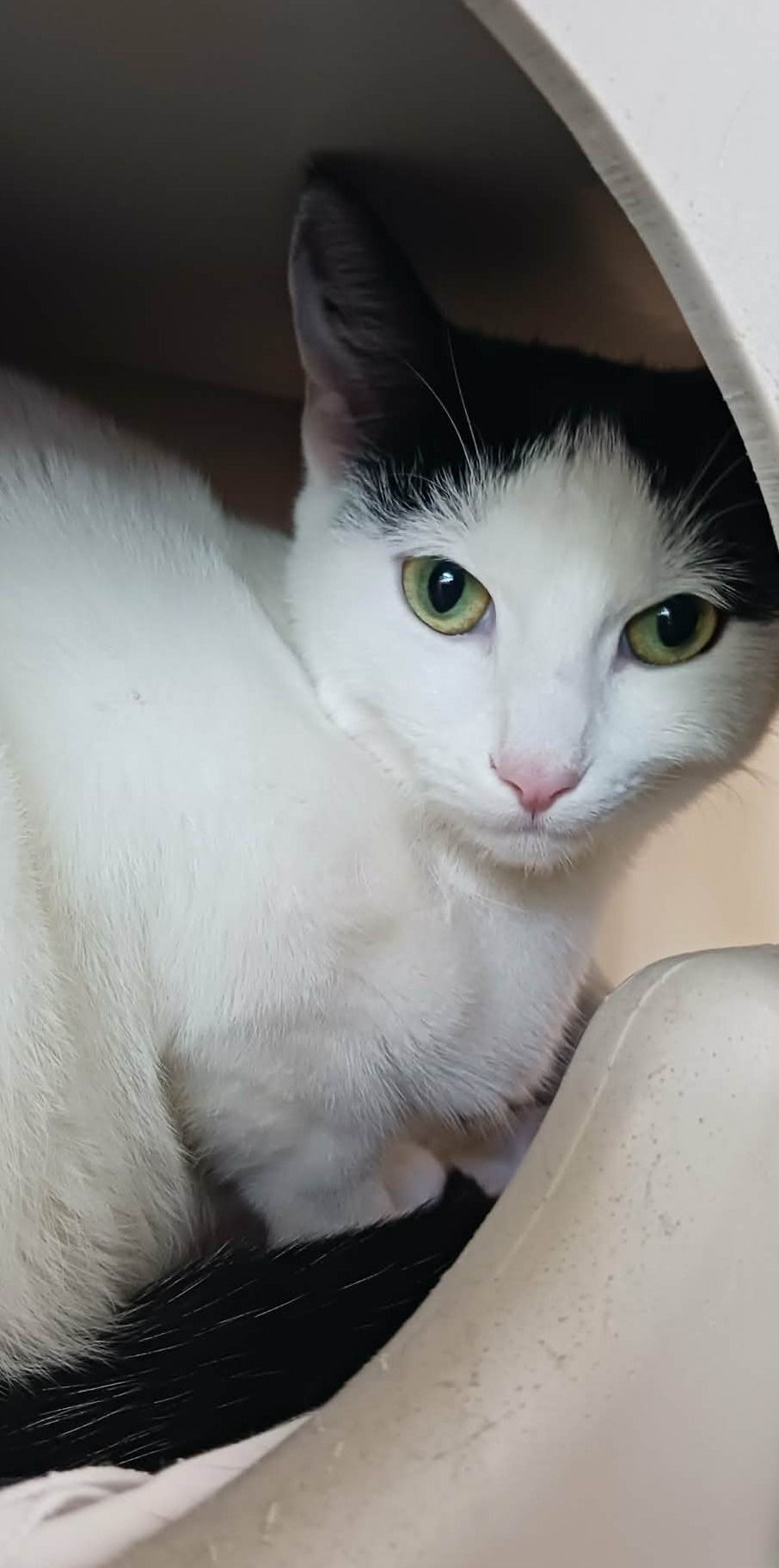 Gallery image: Petra