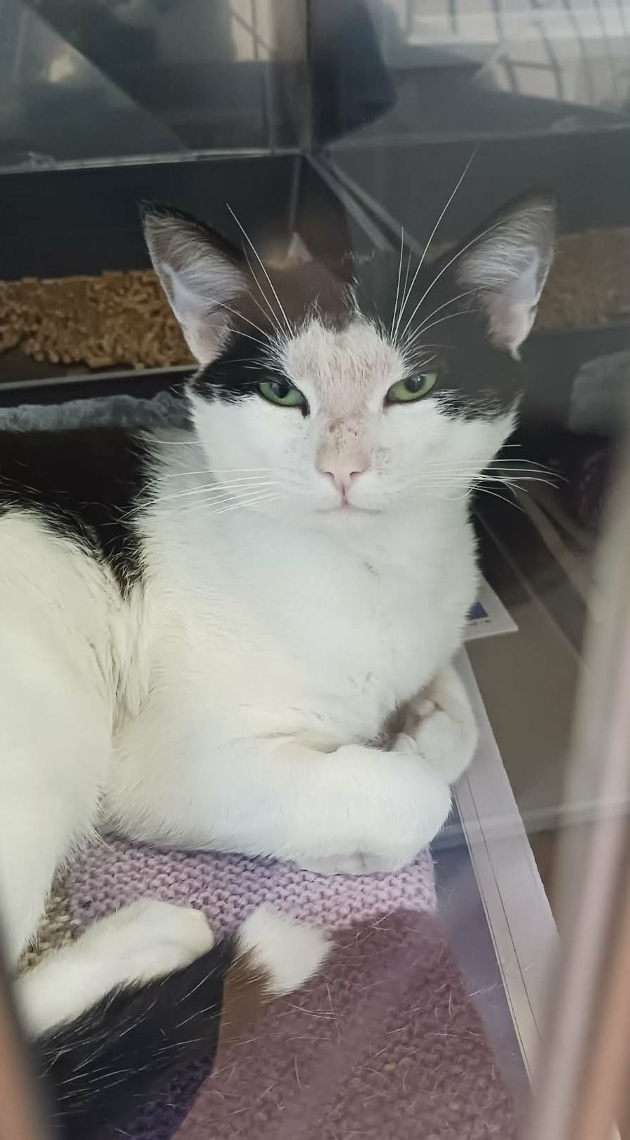 Gallery image: Horse