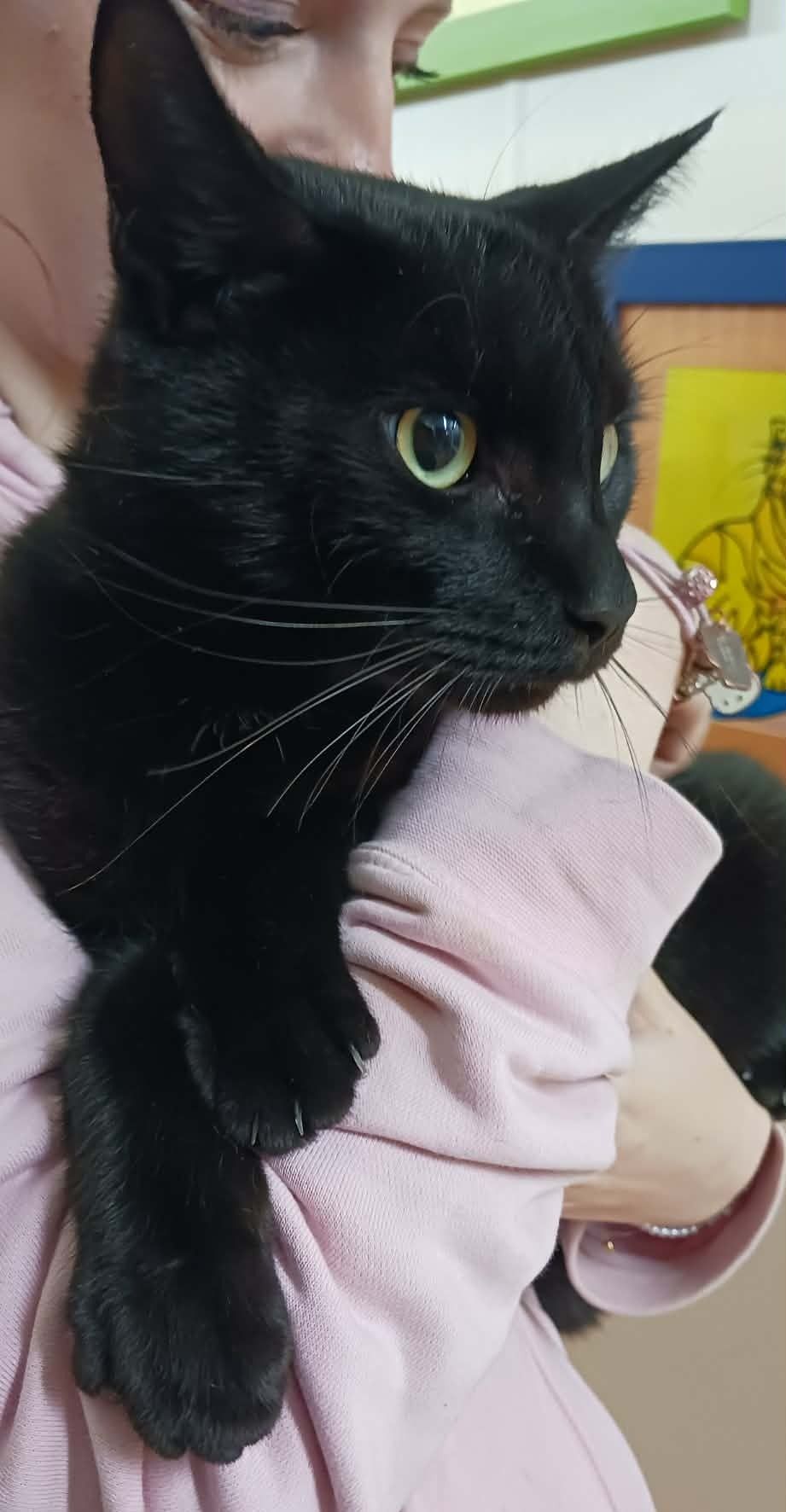 Gallery image: Soren 