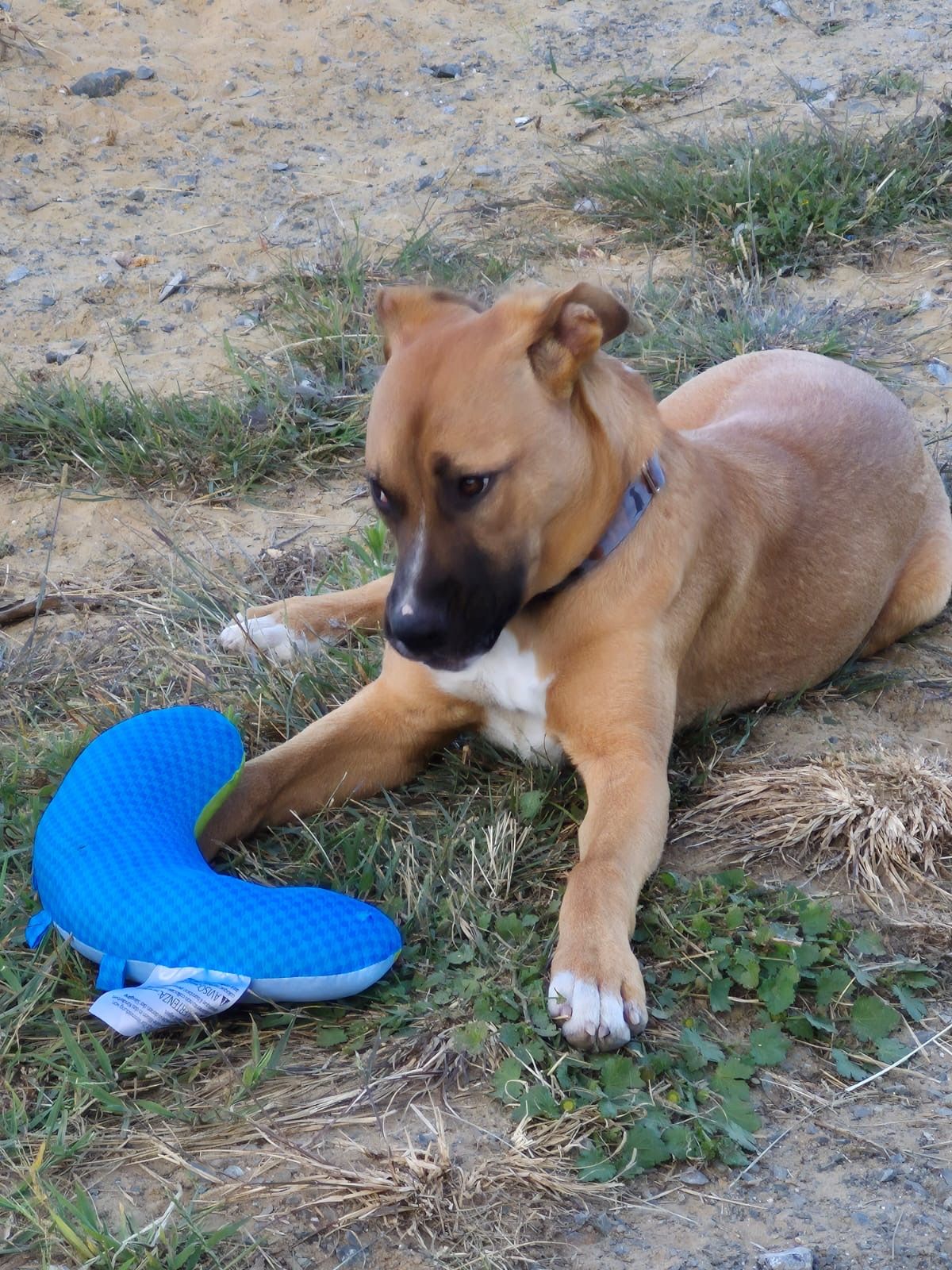 Gallery image: Truffle