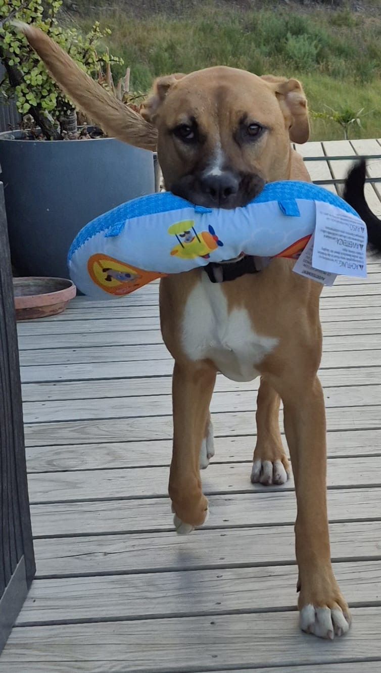 Gallery image: Truffle