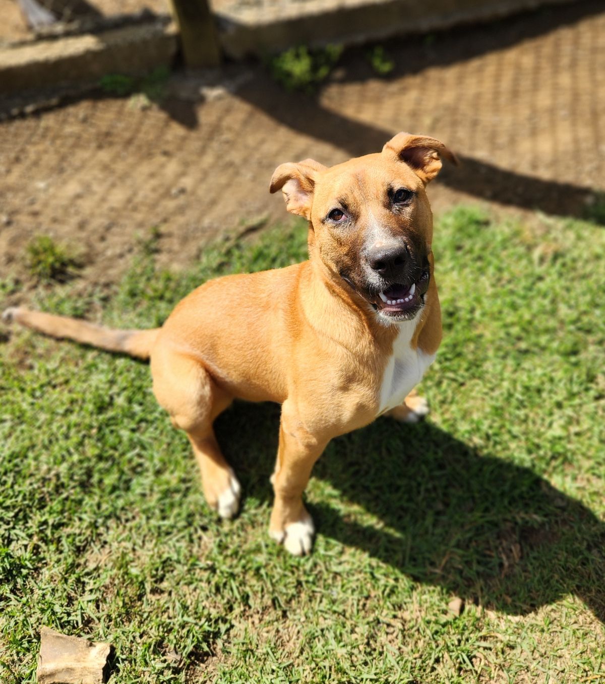 Gallery image: Truffle