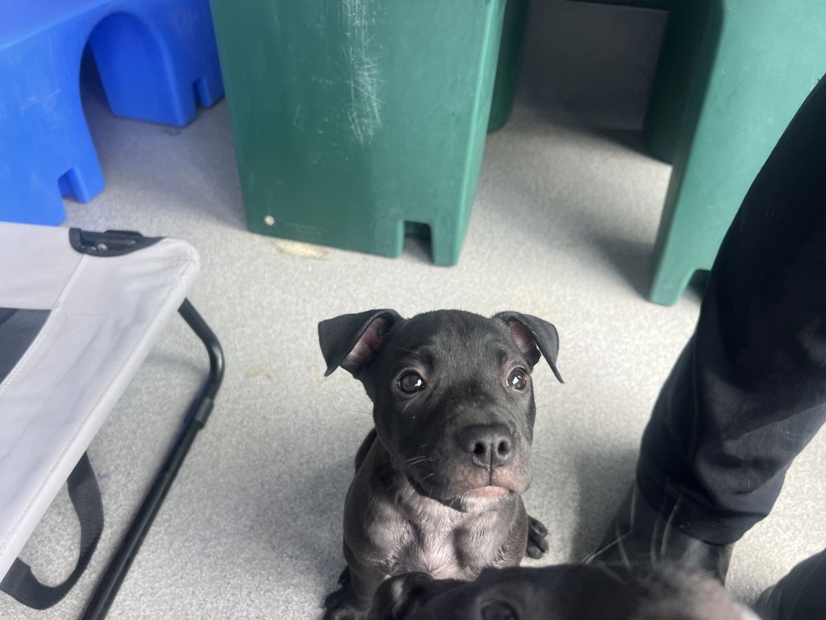 Gallery image: Button