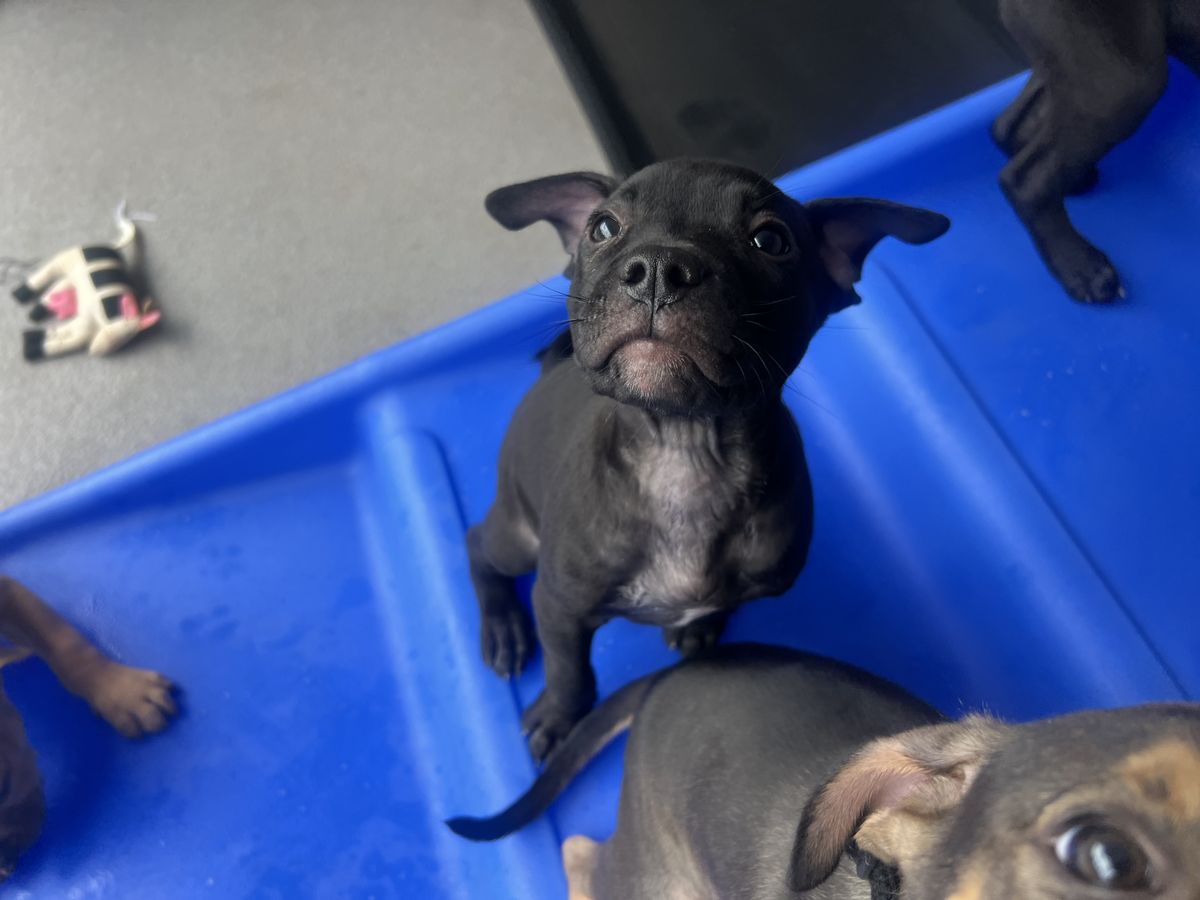 Gallery image: Button