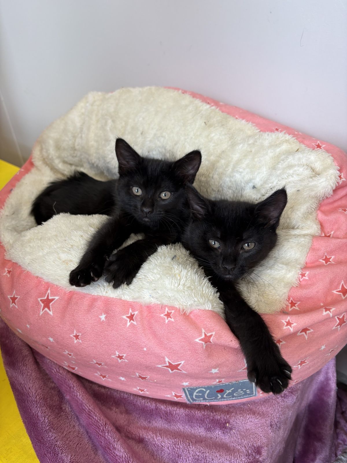 Gallery image: Riddle