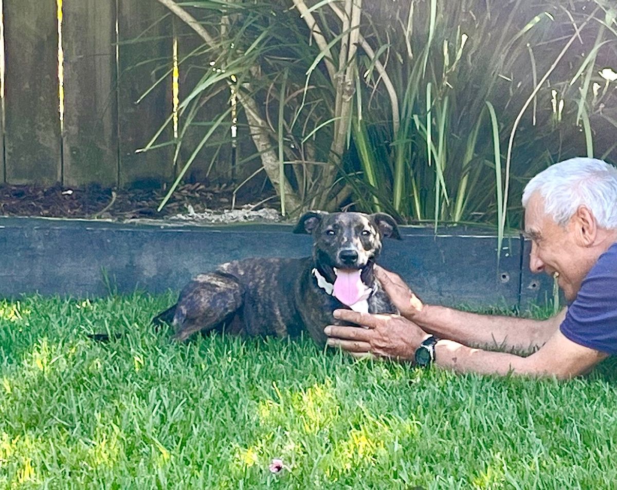 Gallery image: Chutney