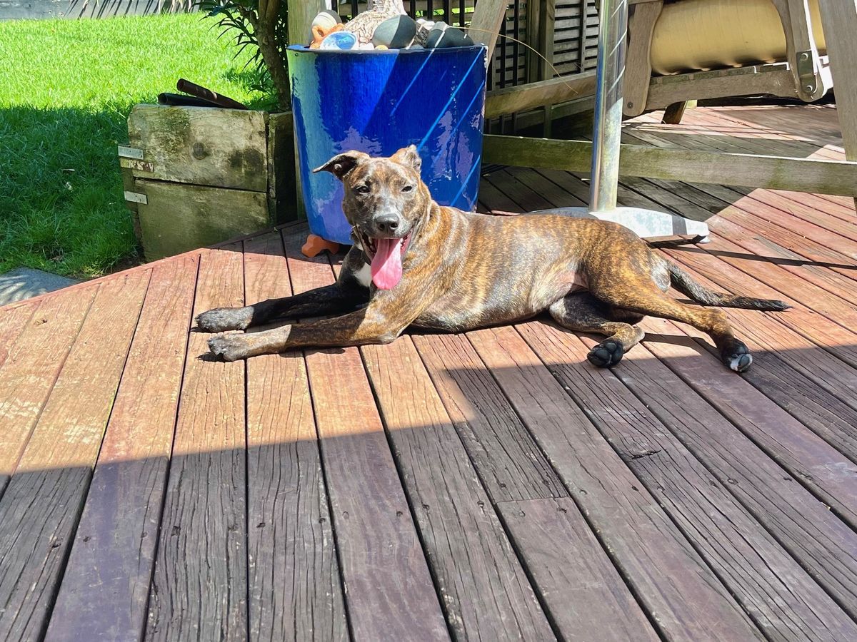 Gallery image: Chutney