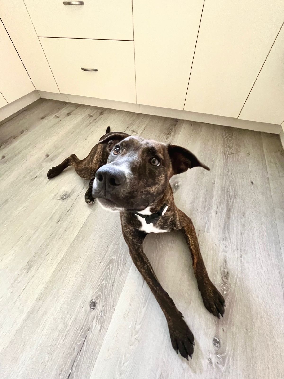 Gallery image: Chutney