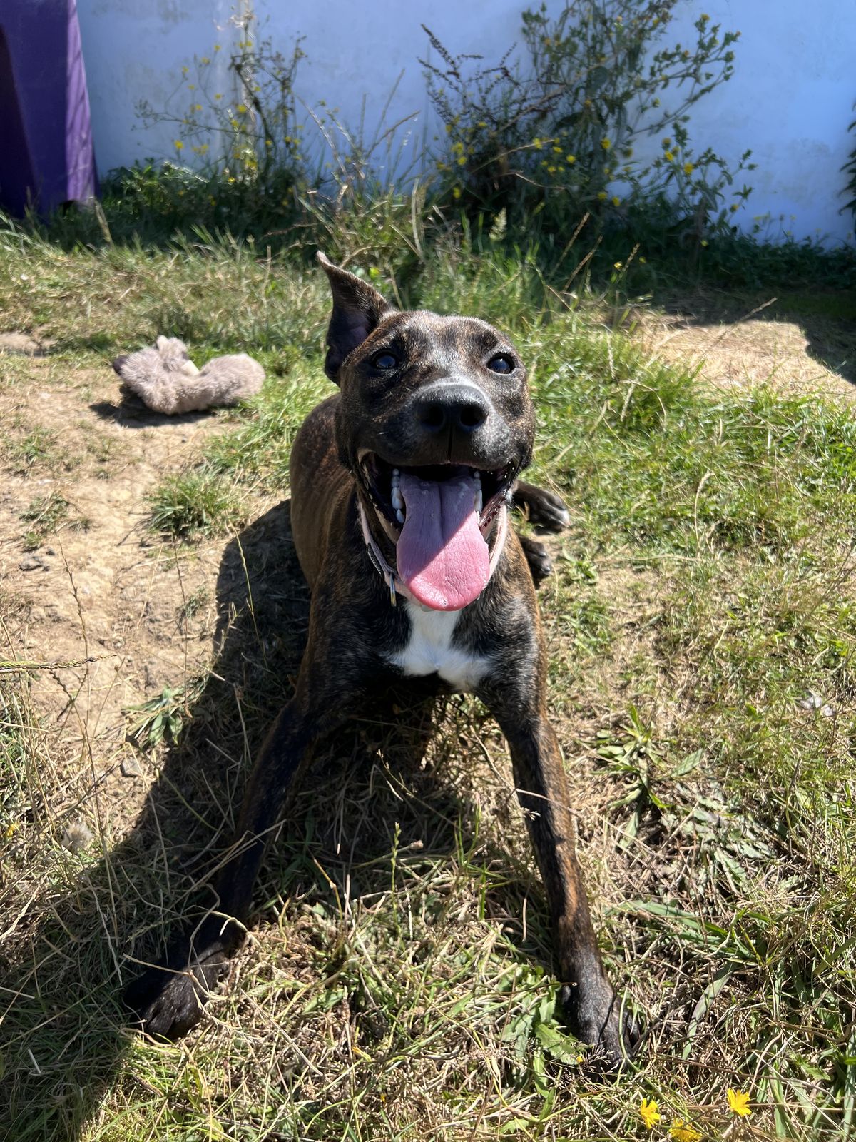 Gallery image: Chutney