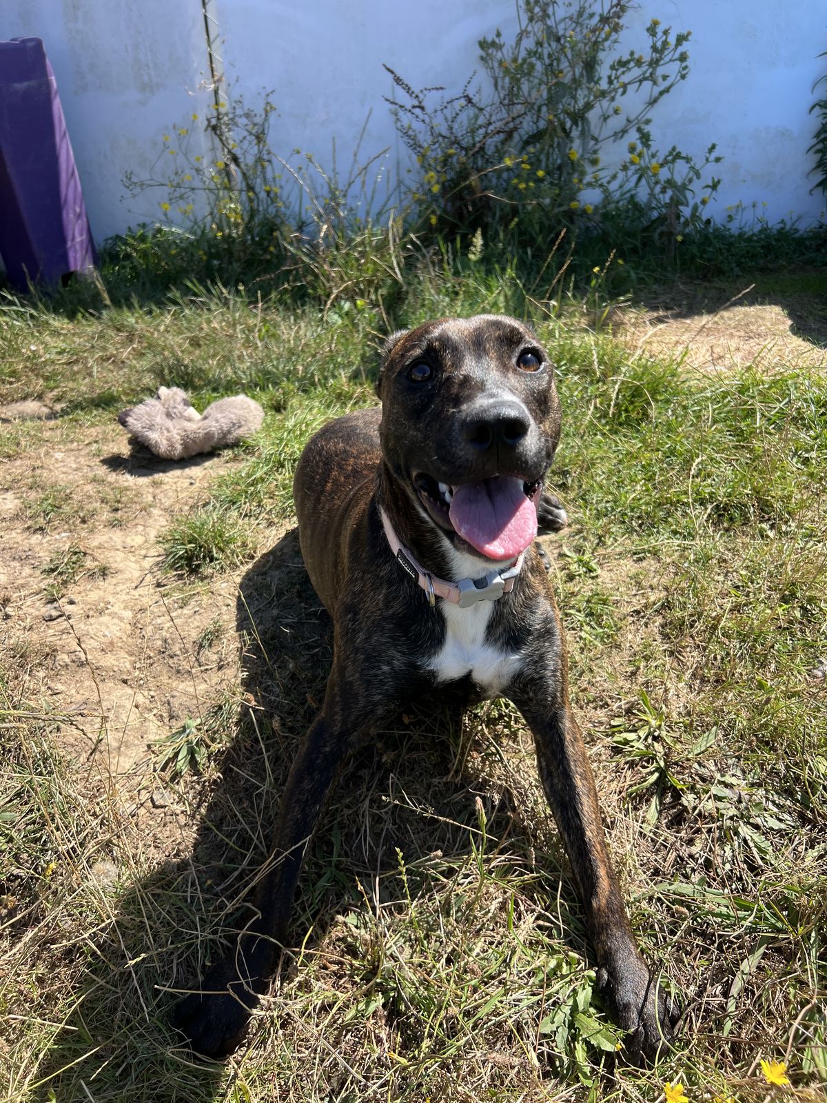 Gallery image: Chutney