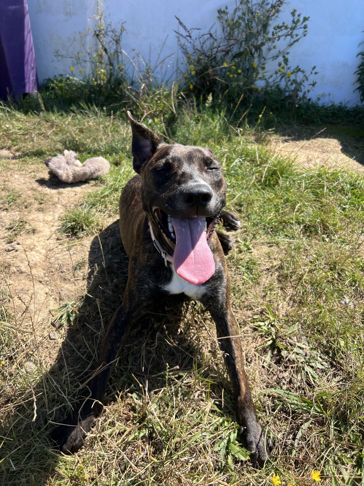 Gallery image: Chutney