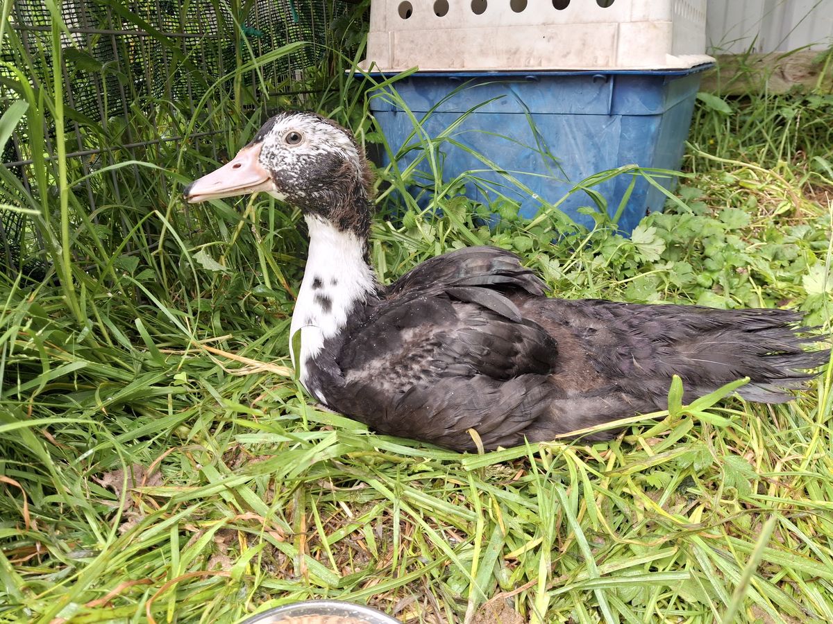 Gallery image: Wiggle Fizz