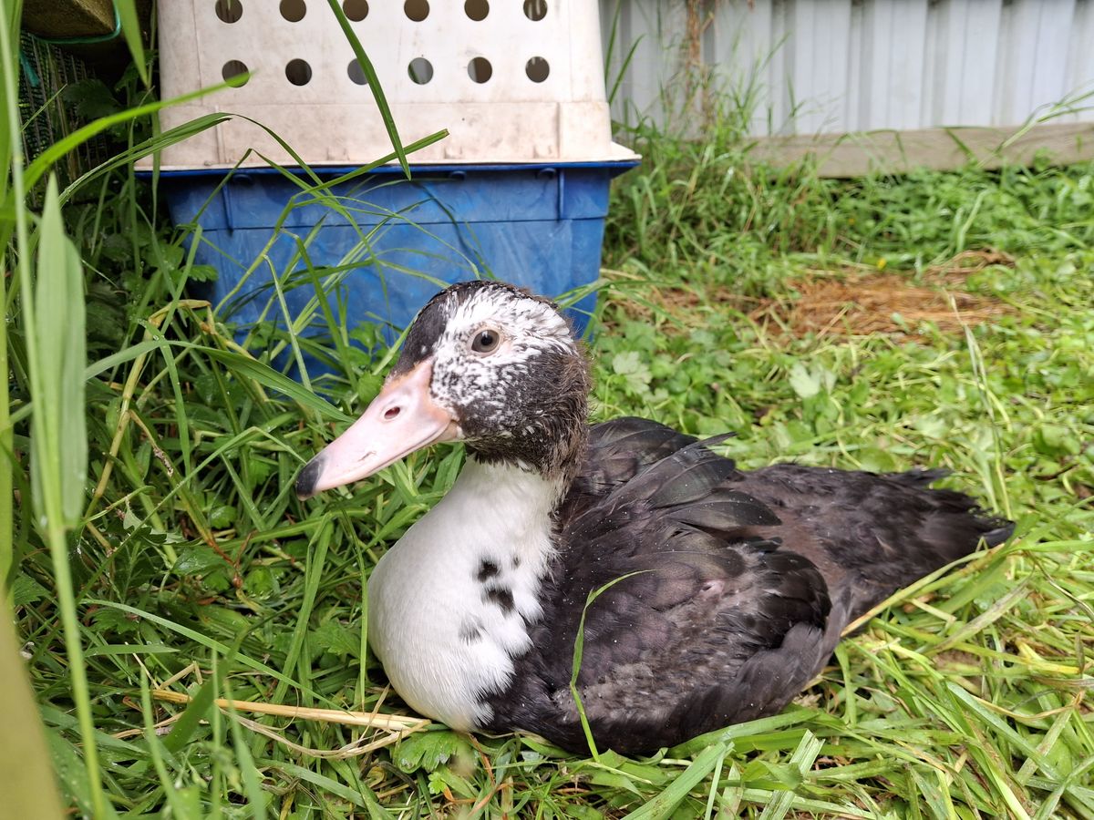 Gallery image: Wiggle Fizz