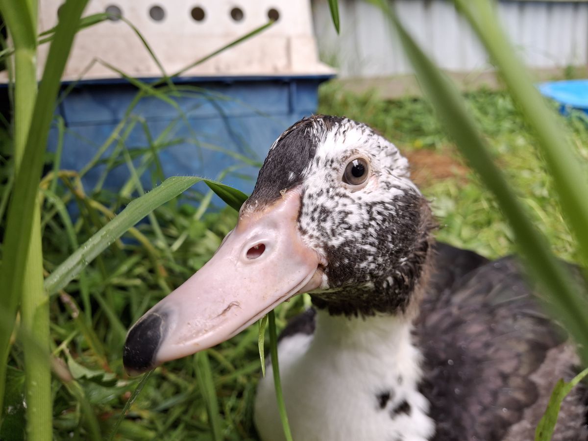 Gallery image: Wiggle Fizz