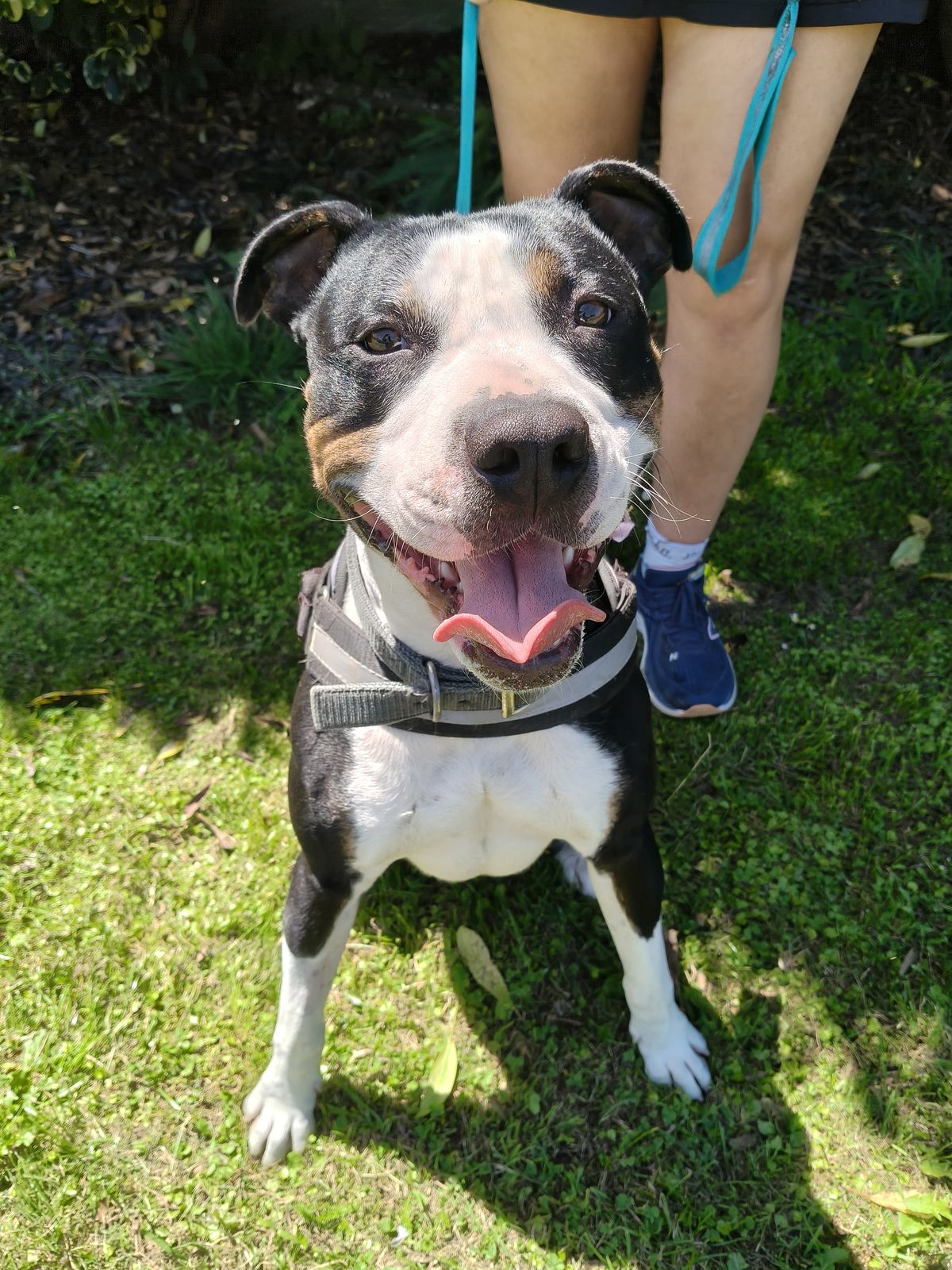 Gallery image: Astro