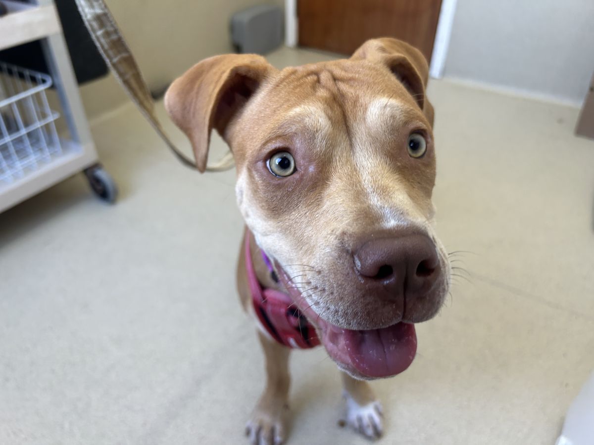 Gallery image: Thelma