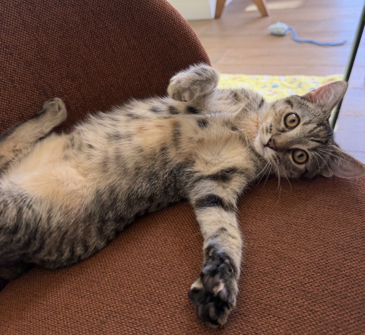 Gallery image: Gamora