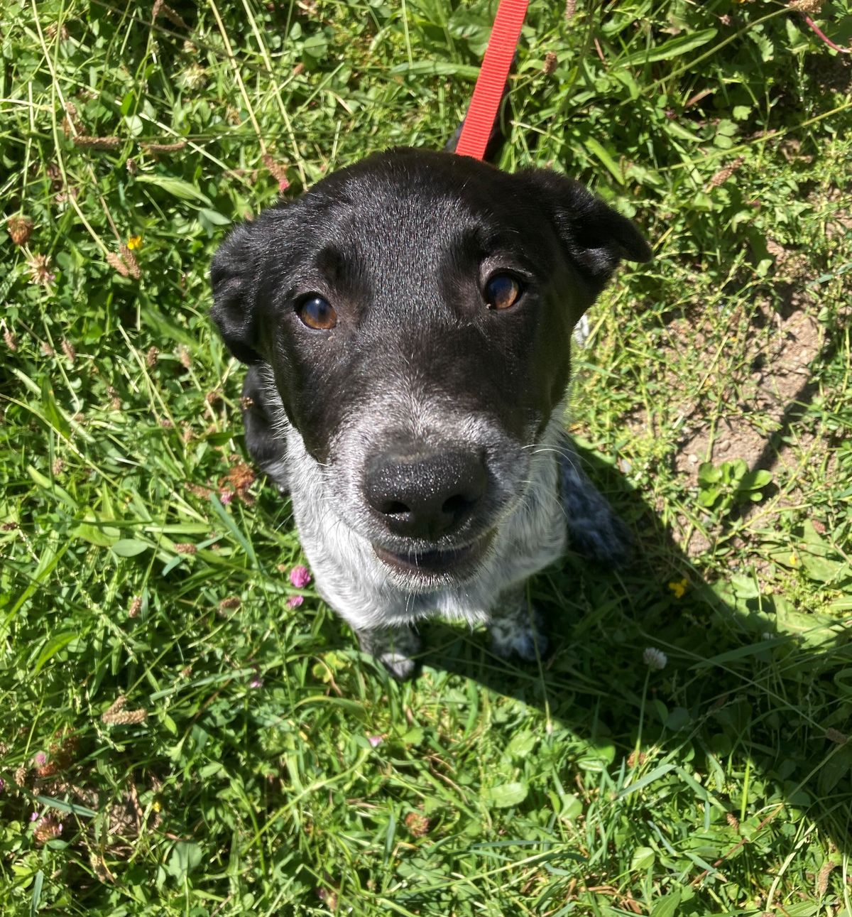 Gallery image: Byron