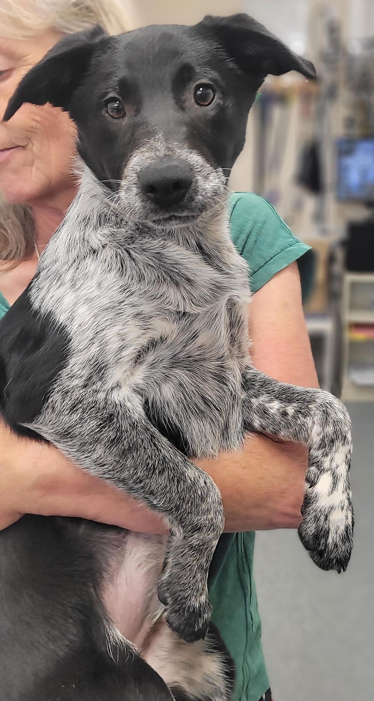 Gallery image: Byron