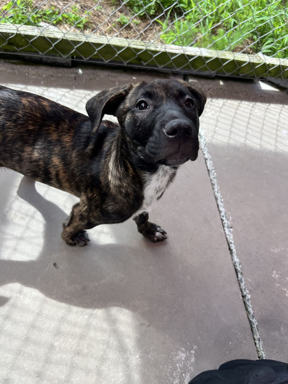 Gallery image: Frosty