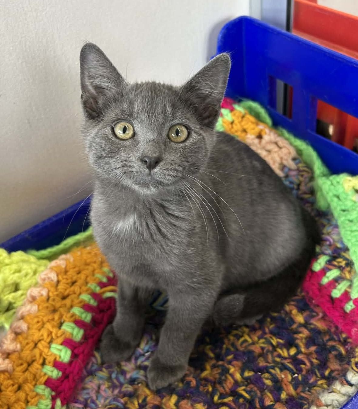 Gallery image: Stoney