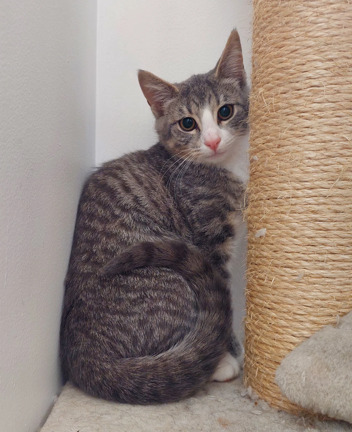 Gallery image: Marley