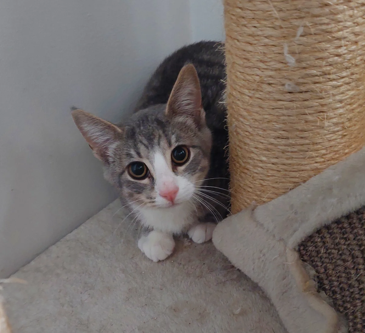 Gallery image: Marley