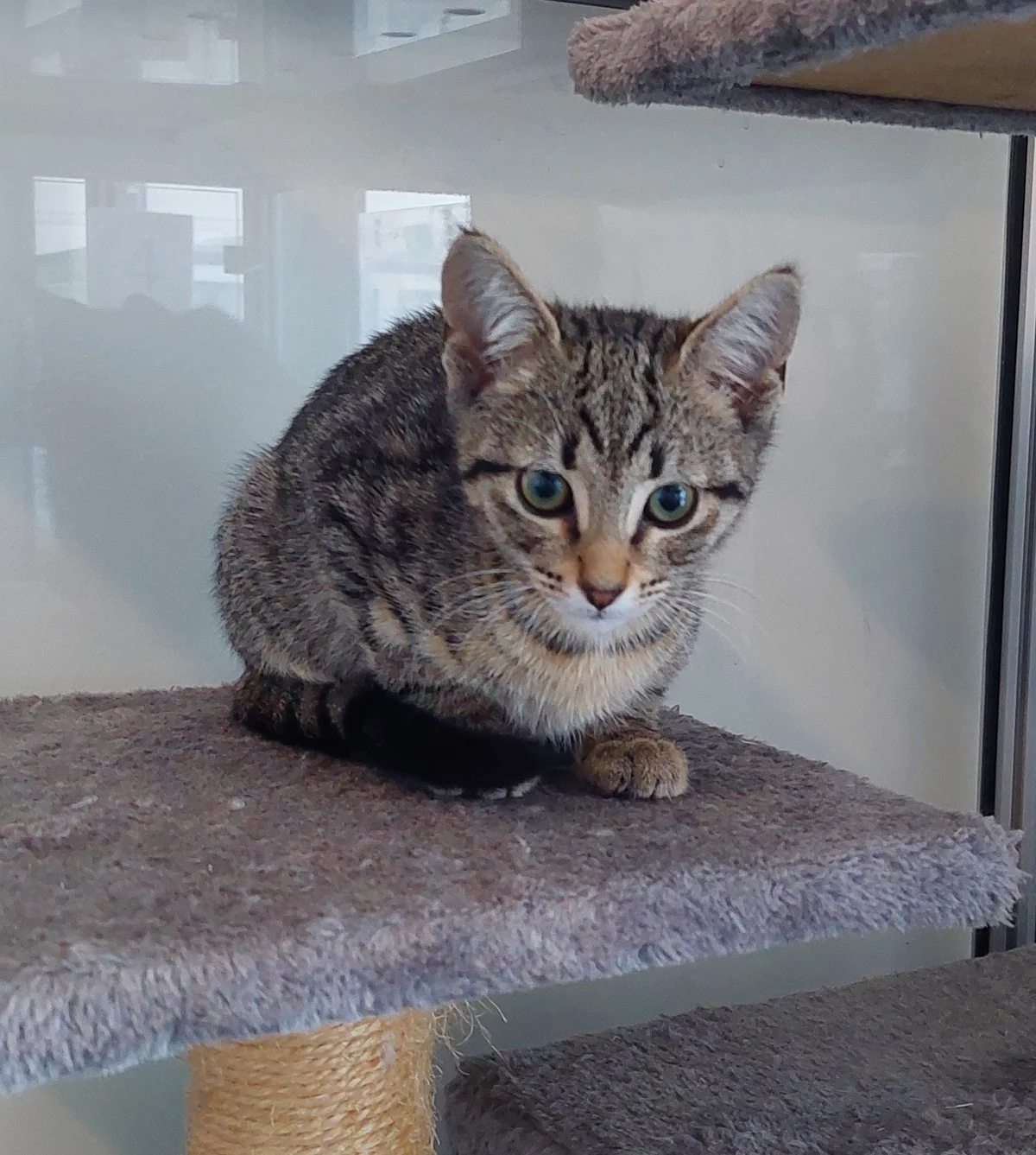 Gallery image: Thingy