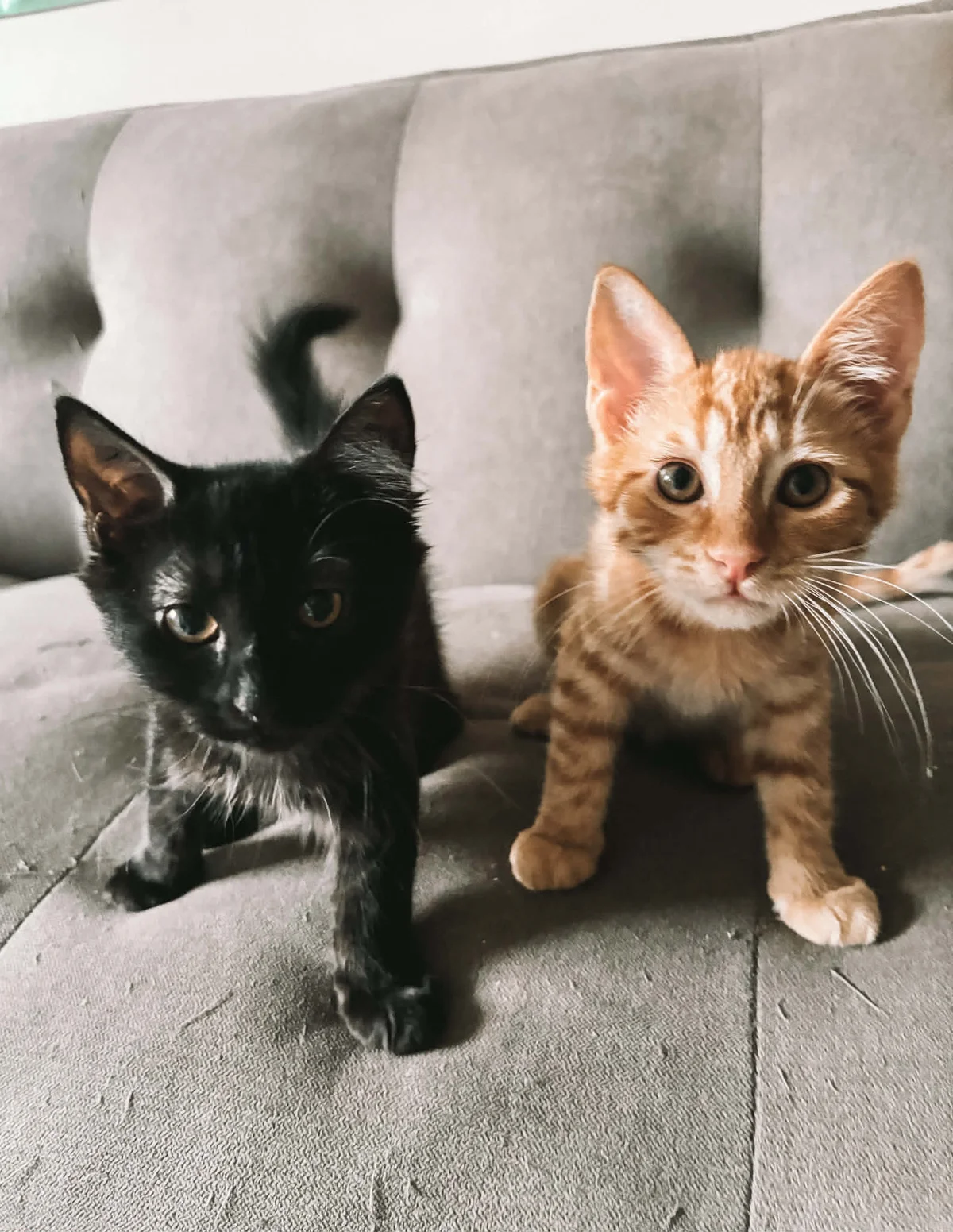 Gallery image: Toast