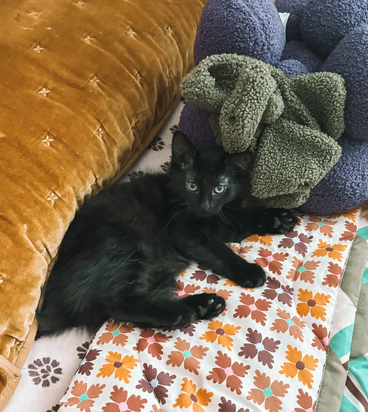 Gallery image: Toast