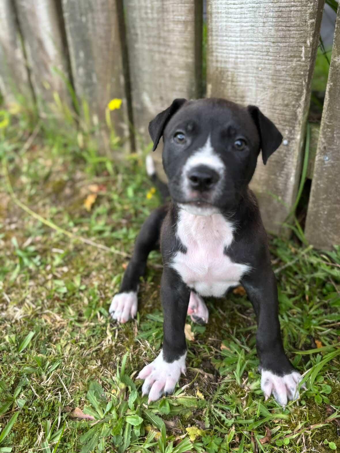 Gallery image: Titch