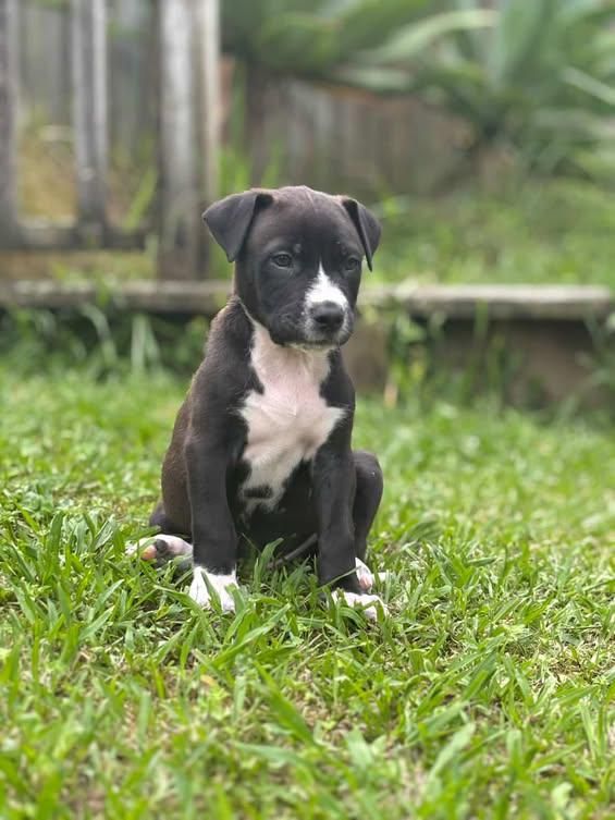 Gallery image: Titch