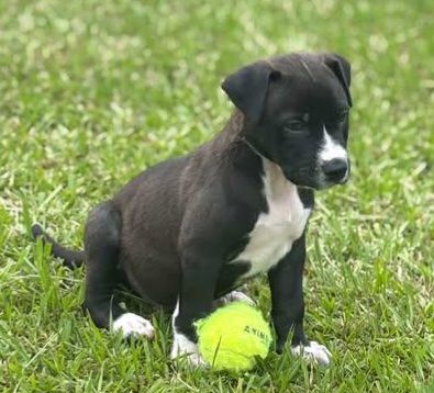 Gallery image: Titch