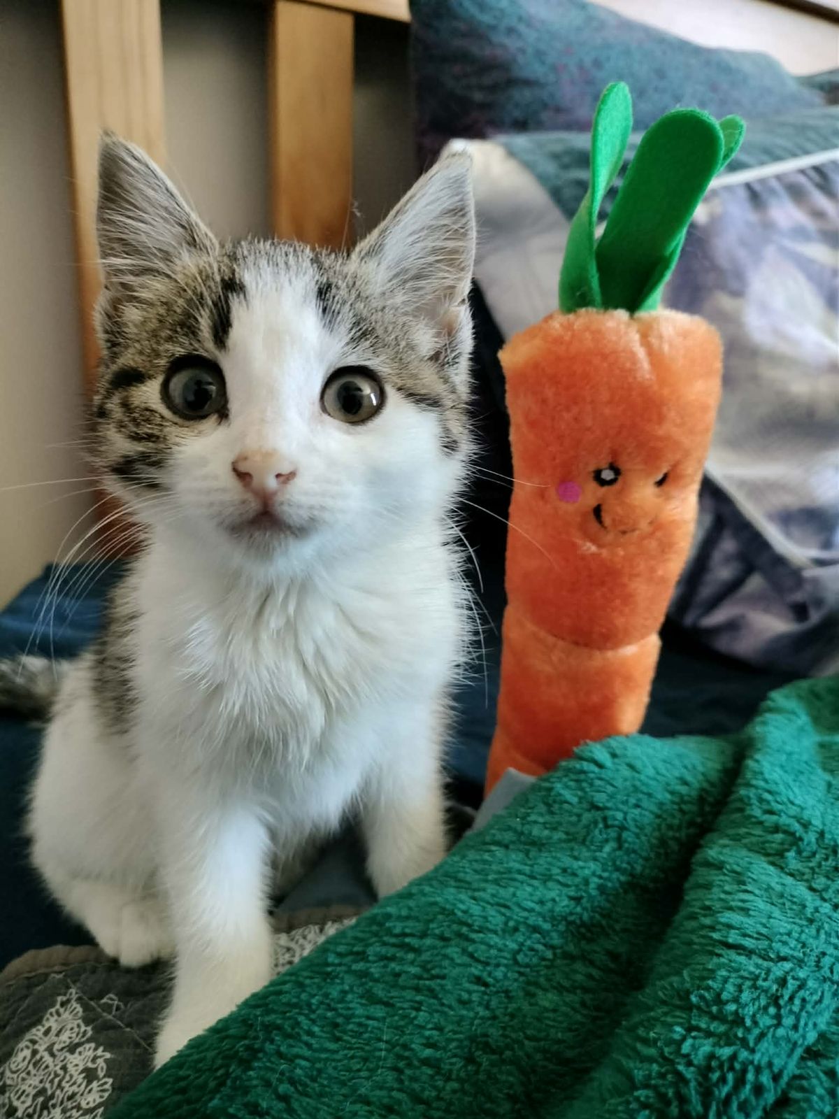 Gallery image: Sophie